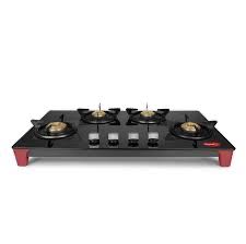 Pigeon - HOB