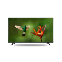 BenQ - Monitor