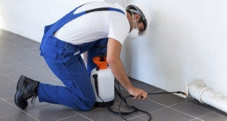 Termites Treatment