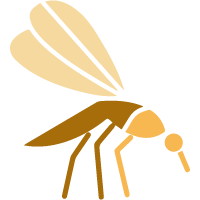 Mosquito Control