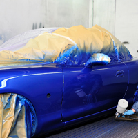 Left Running Board                             Paint
