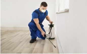 Pest Control - Single Visit