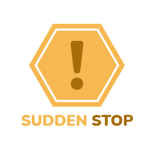 Sudden Stop