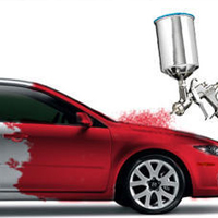 Bonnet                                Paint