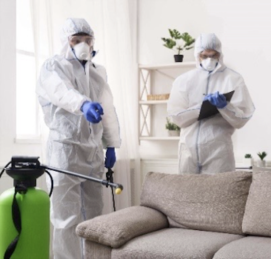 Anti Covid Sanitization Services - Two BHK