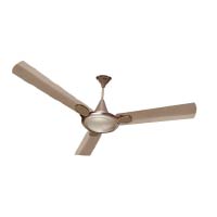 Ceiling Fan Exotica 48 Birken Gold 1X1