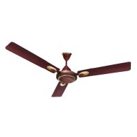 Ceiling Fan Tanishq Ex 48 Pearl Brown 1X1